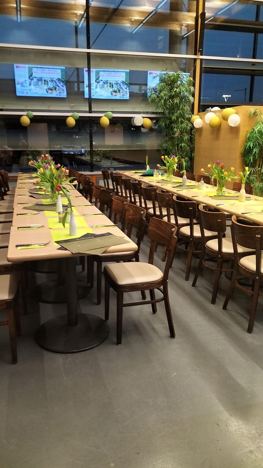 Festlich gedeckte Tische mit Tulpen im Frühling